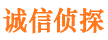 师宗市调查公司